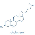 Cholesterol Molecular Structure